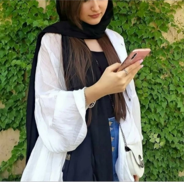ستاره شمالی