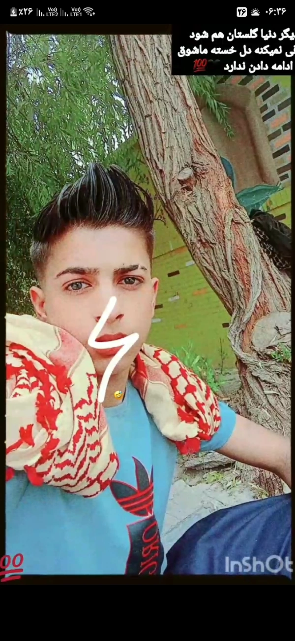 مانی