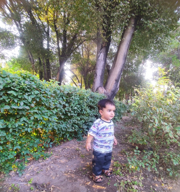 ali