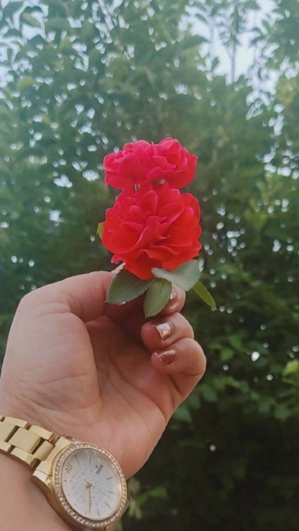 مریخ
