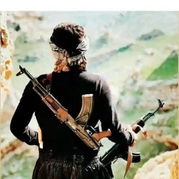 نویدم