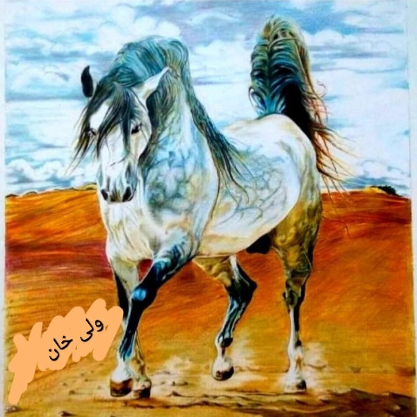تیمسار