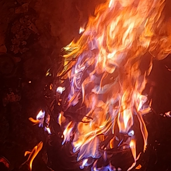 عشق