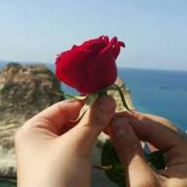فاطی