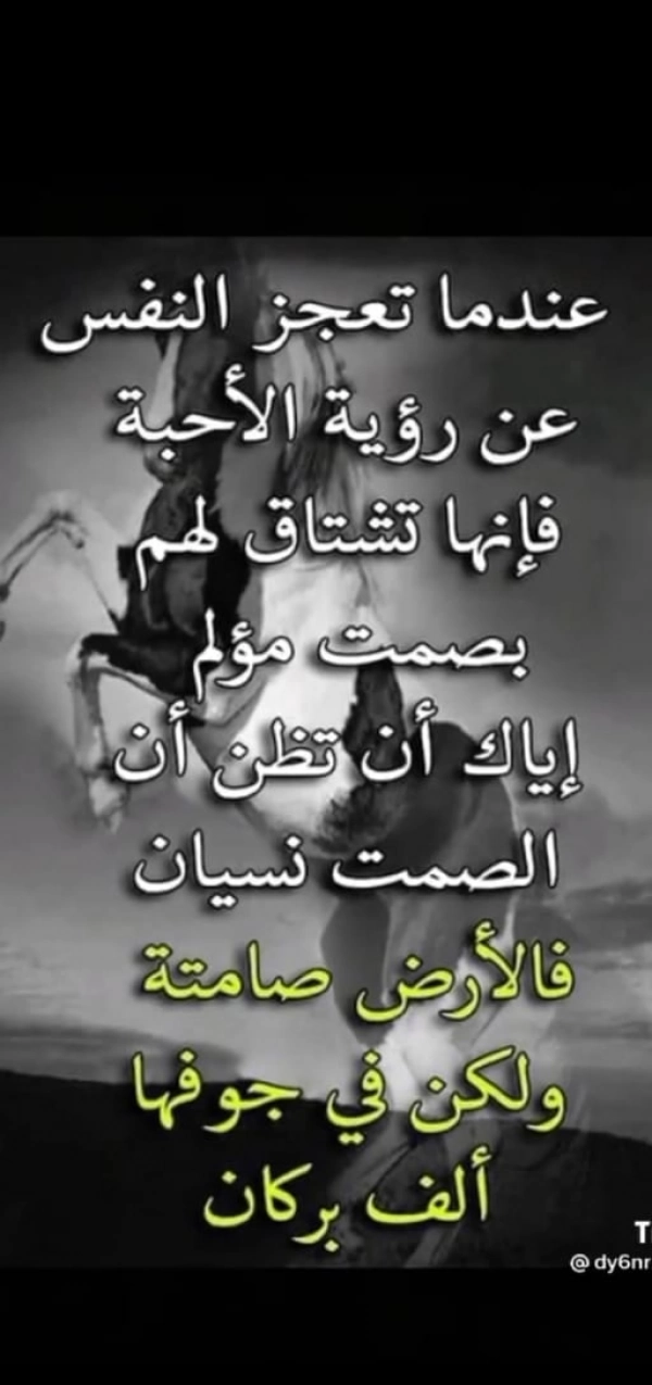 گشتم نبودنگردنیست