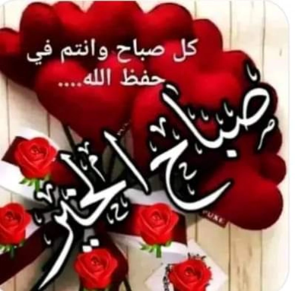زمین
