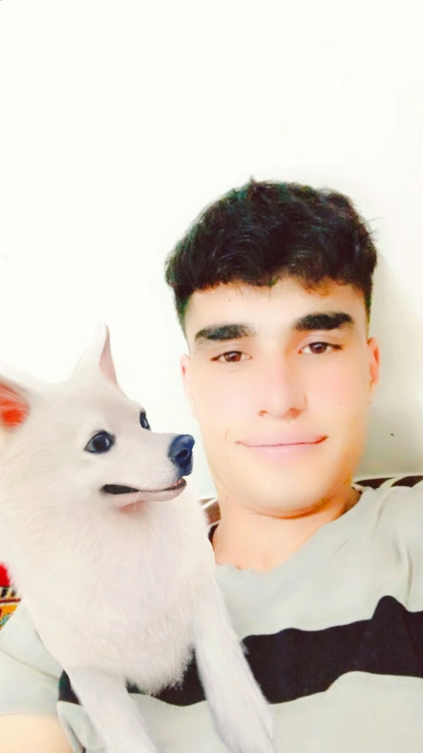 زمین