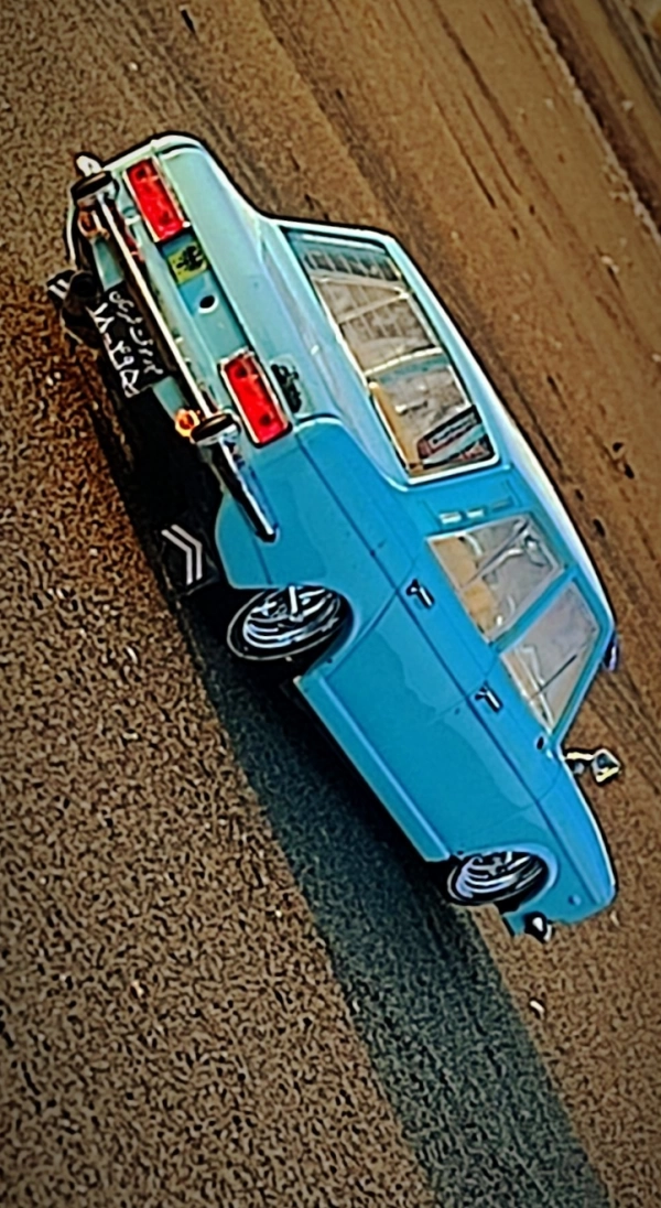 امین شونم