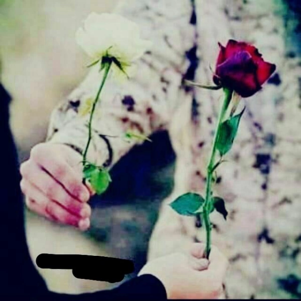 ابراهیم