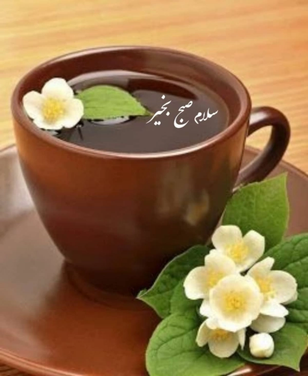 یاسر