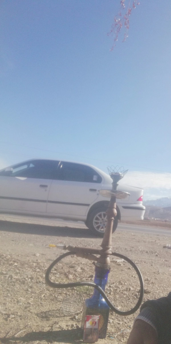 مسعود