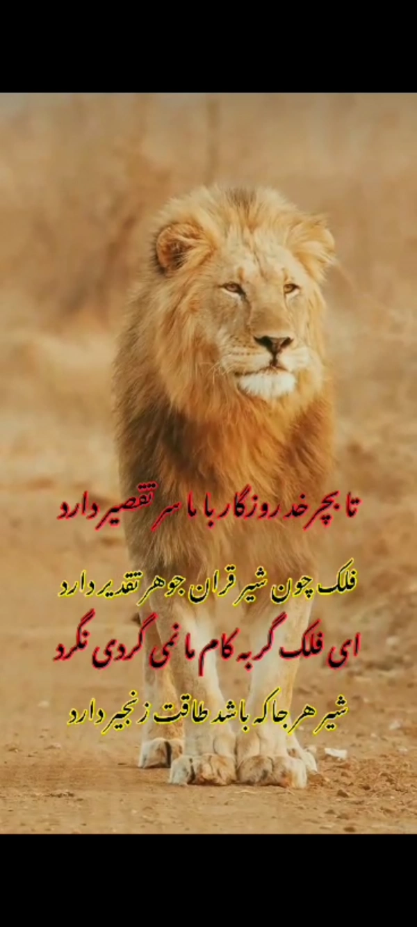 hesam