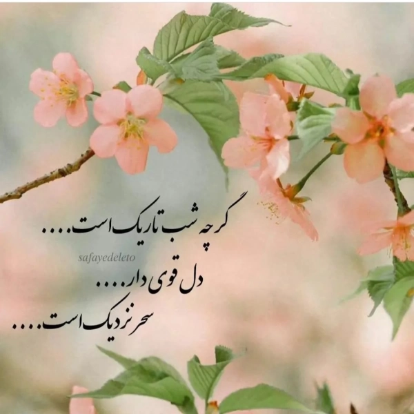 عاطفه