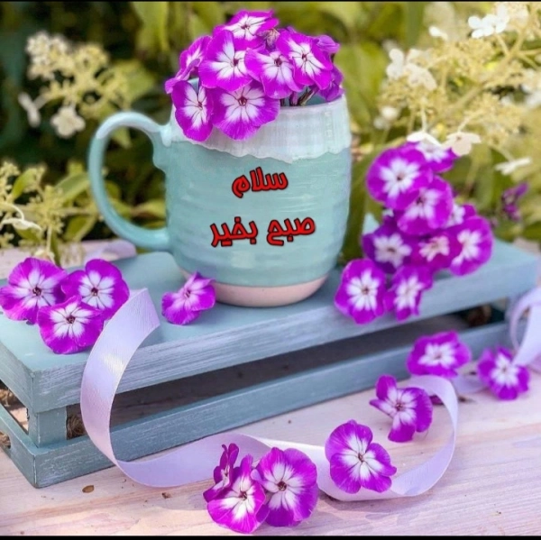 دانیال