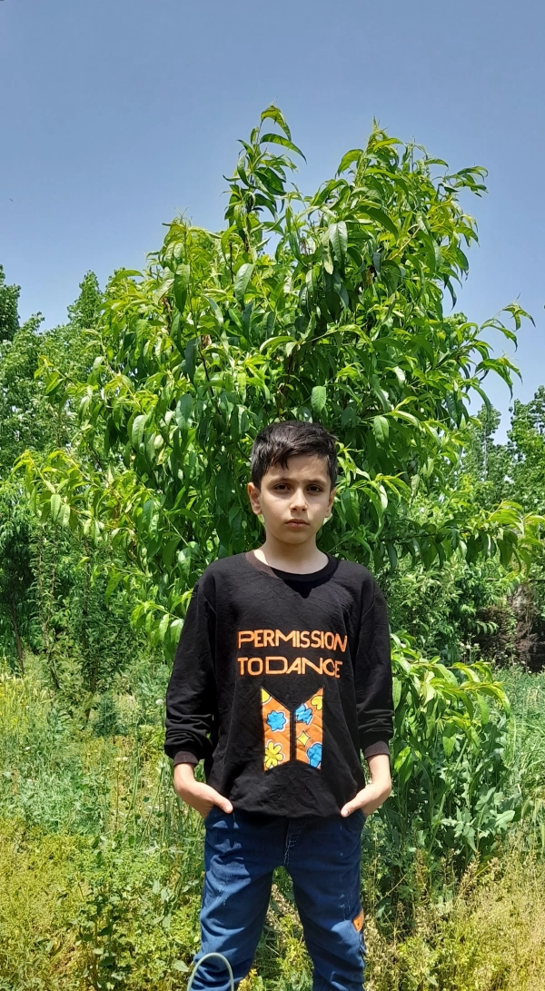 علی