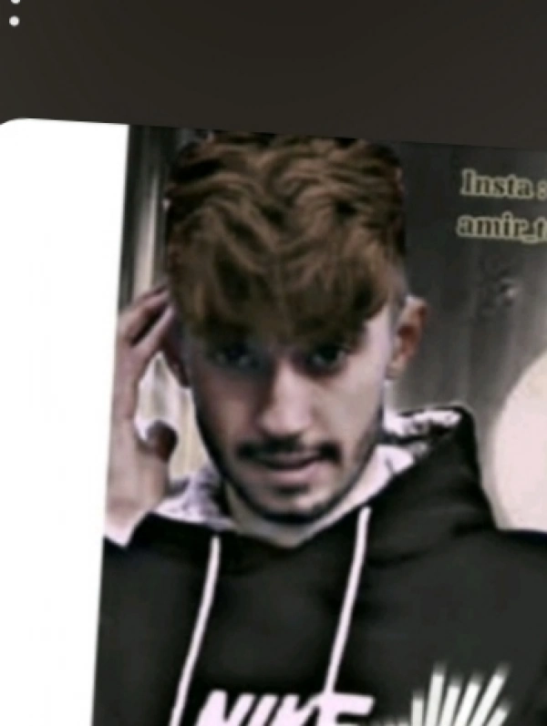 استار