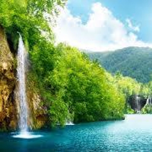 محمدرضا