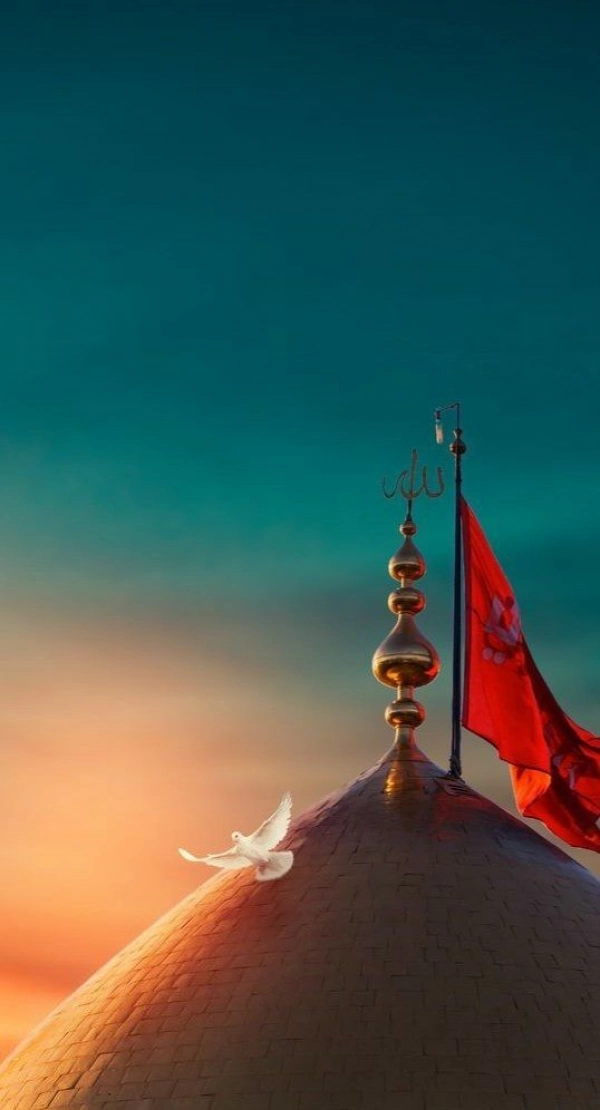 محمد