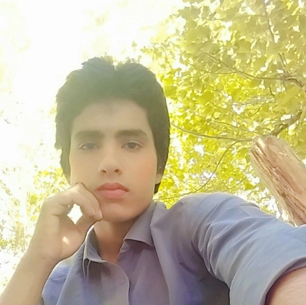علی میر