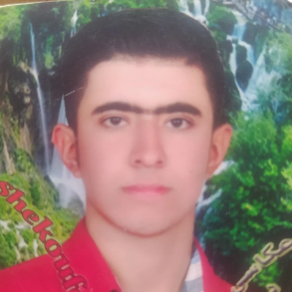 حمید