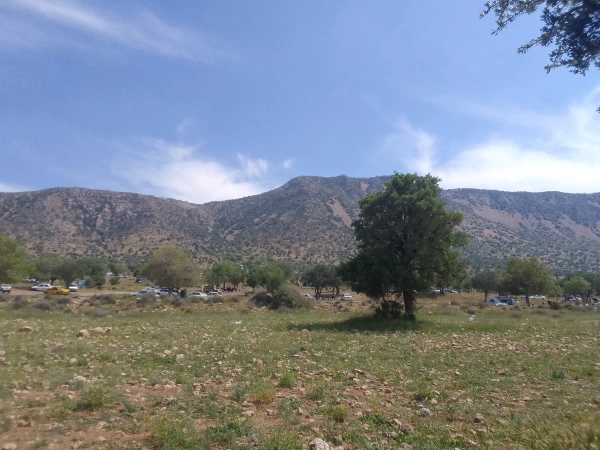 علیرضا ghasmi