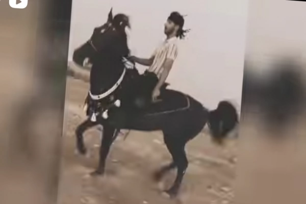 دروازه بان