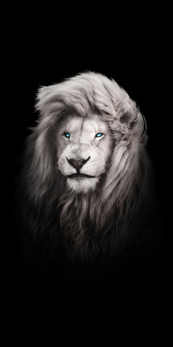 sajjad