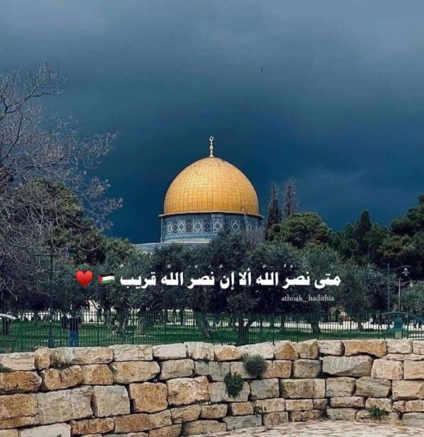 علی حریبی