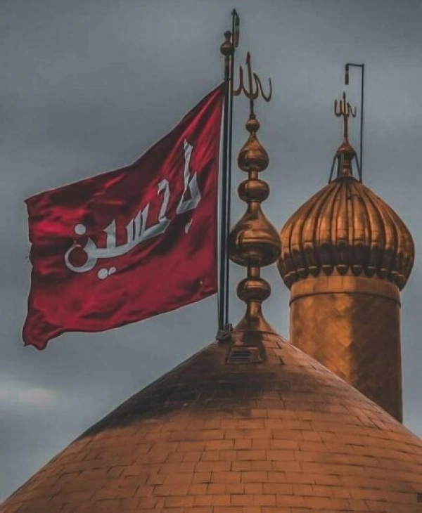 عارف