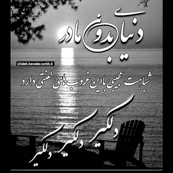 فرنازمحمدی