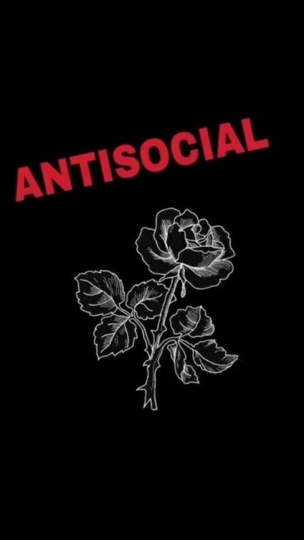KING.REX