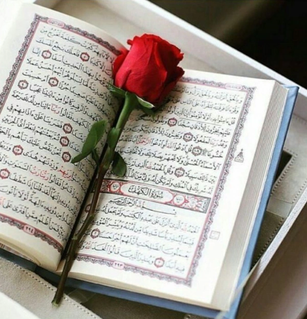•عِفَت•