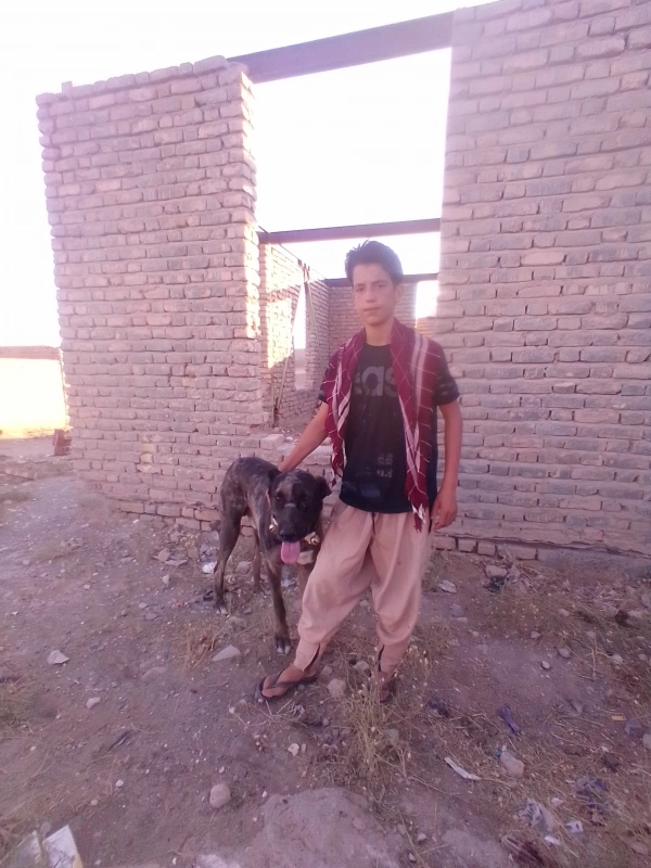 رضا نوروزی