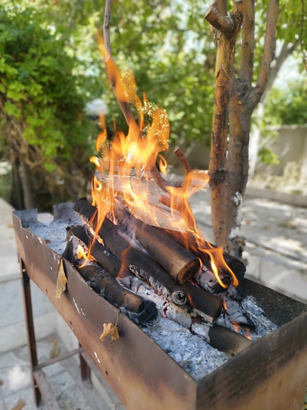 مشتری