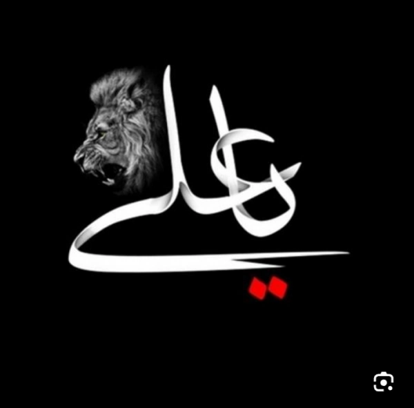 امیر