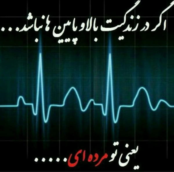 محمدرضا مهدوی اااا
