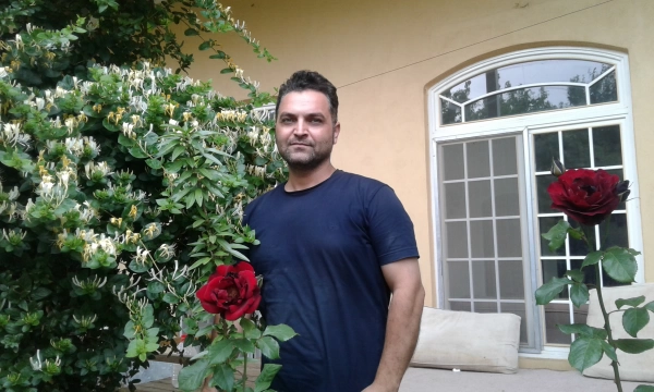 hadi