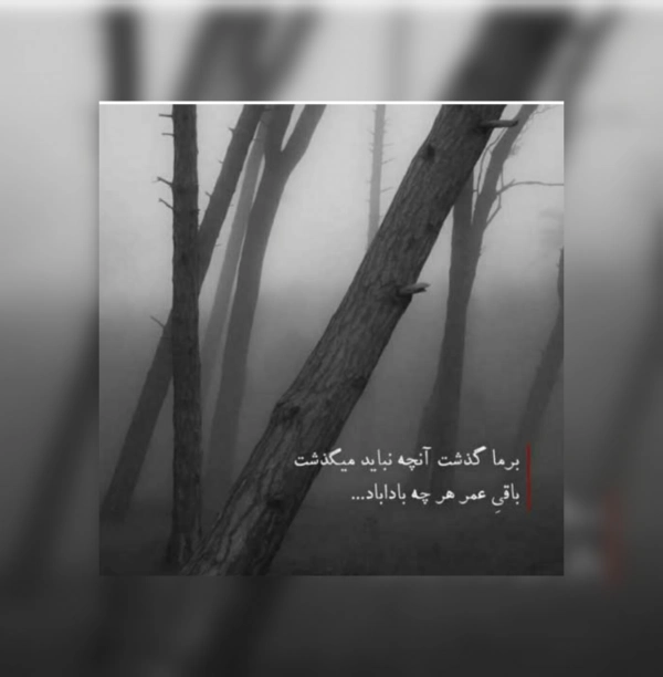 بدون نام