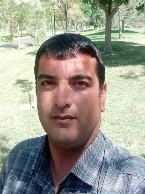 بی یار