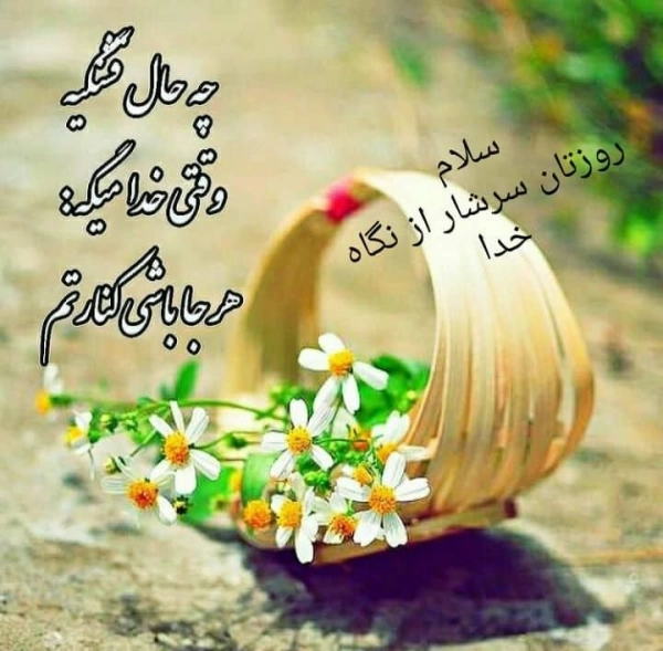 reza