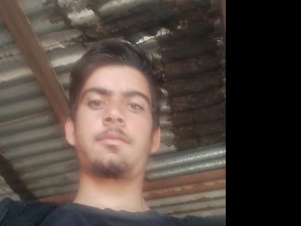 نیما