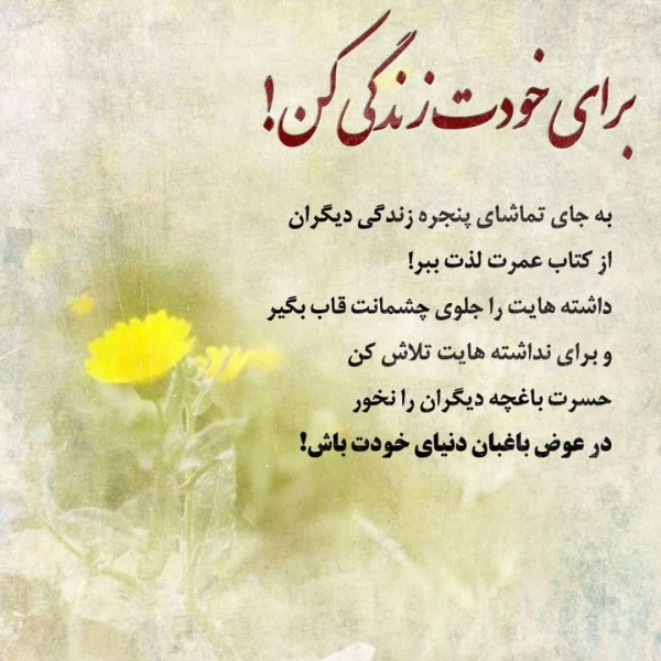 سیدامیر