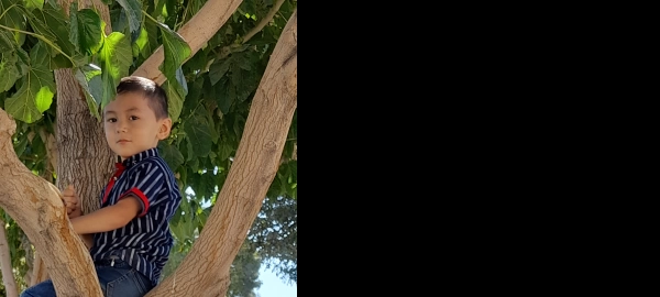 محمدی میرزای