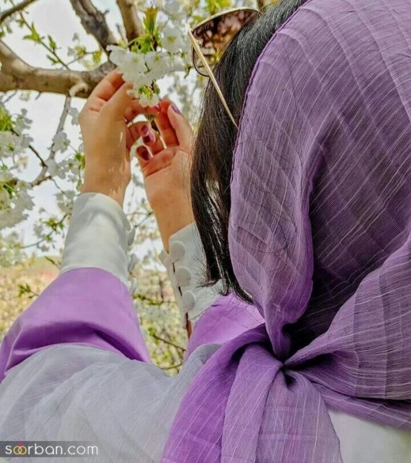faezeh