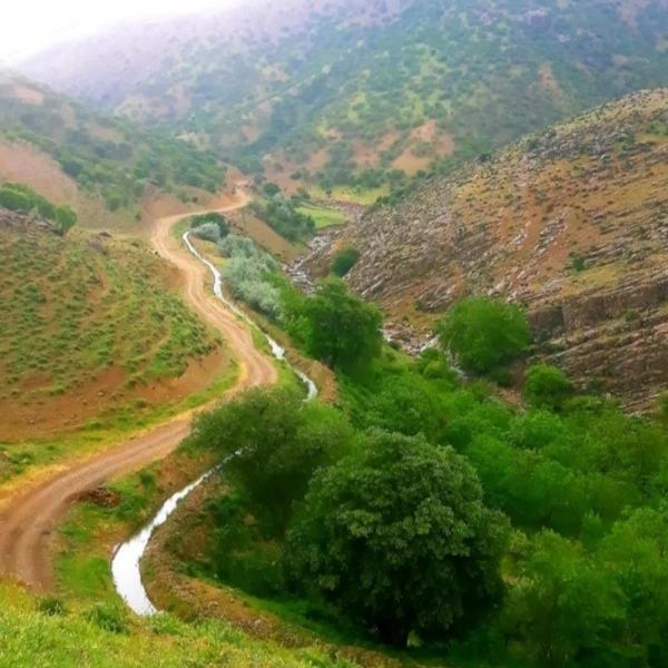 زهیل