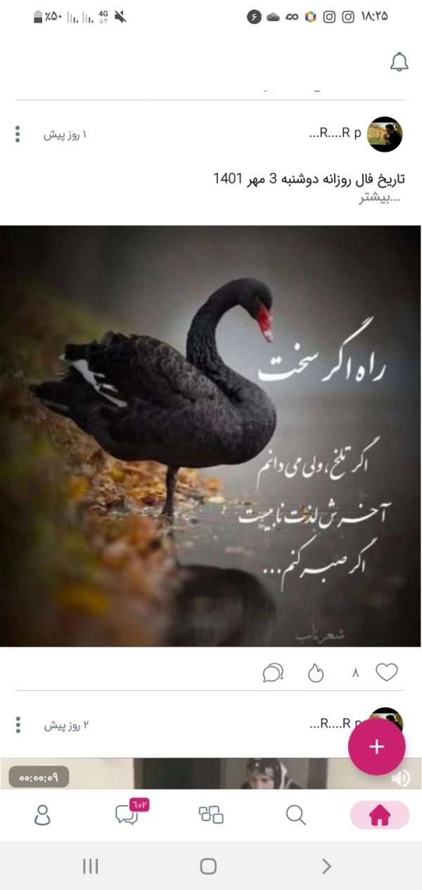 امیر