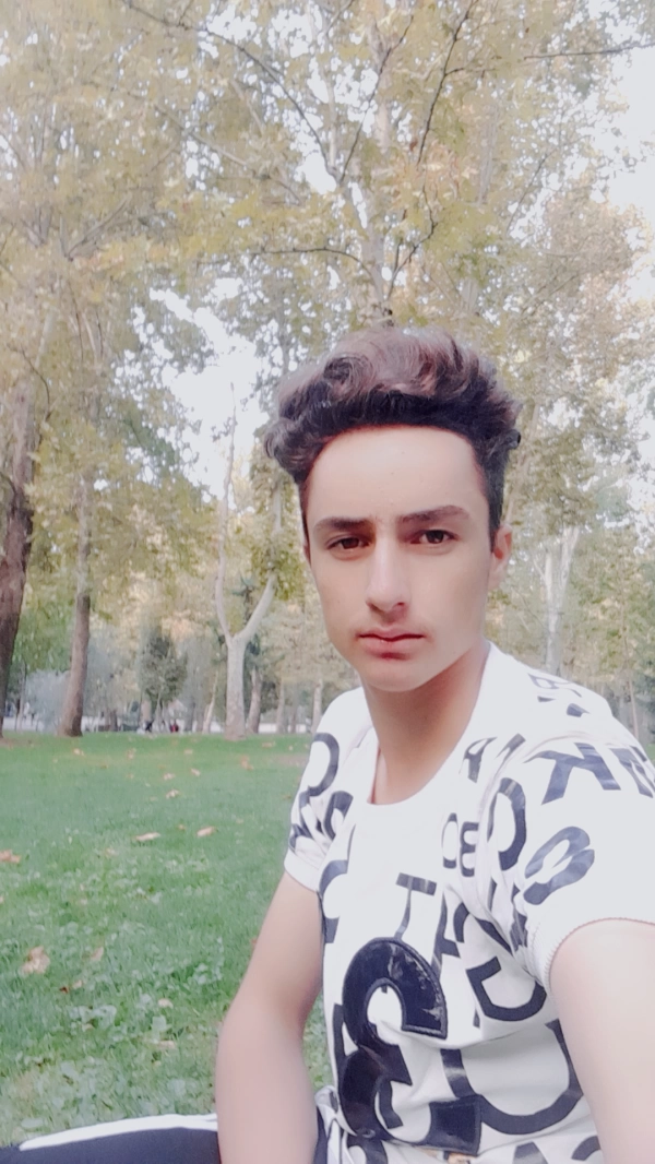 مهدی تنها