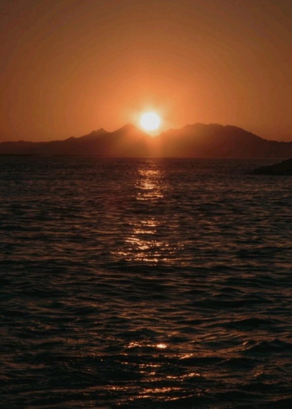 امیرر