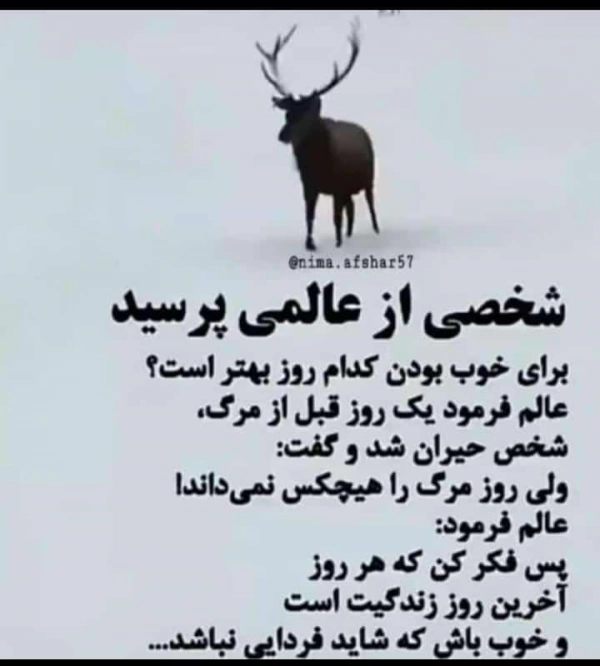 میثم