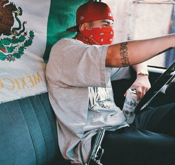 amir